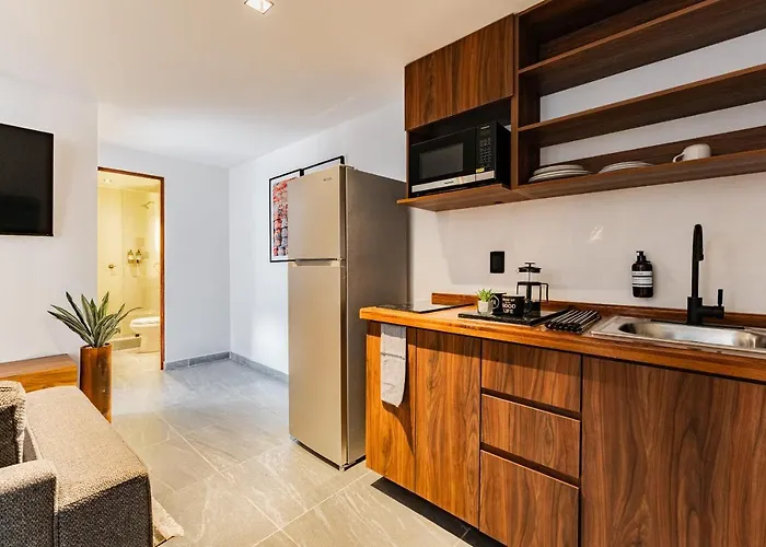 Apartment Santa Ma La Ribera By Vh Mexico City