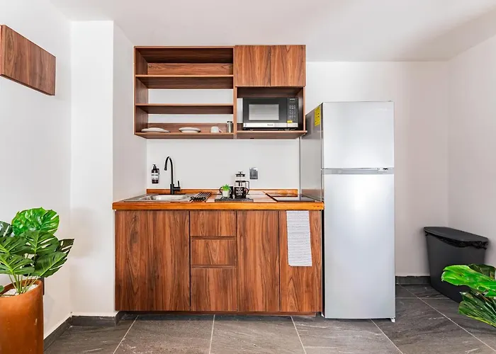 Apartment Santa Ma La Ribera By Vh Mexico City