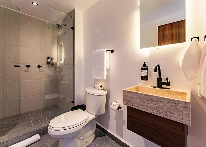 Apartment Santa Ma La Ribera By Vh Mexico City