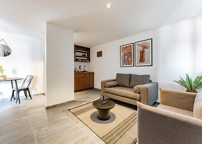 Santa Ma La Ribera By Vh Apartment Mexico City